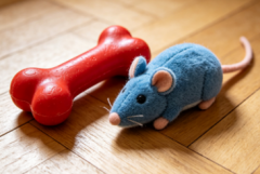 好玩又安全的宠物玩具